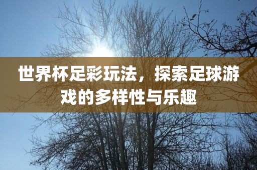 世界杯足彩玩法，探索足球游戏的多样性与乐趣眉山市正发家政服务有限公司