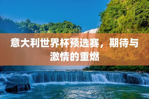 意大利世界杯预选赛，期待与激情的重燃