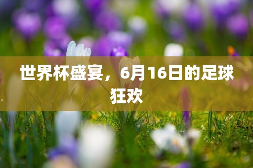 世界杯盛宴，6月16日的足球狂欢眉山市正发家政服务有限公司