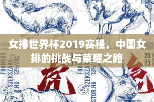 女排世界杯2019赛程，中国女排的挑战与荣耀之路