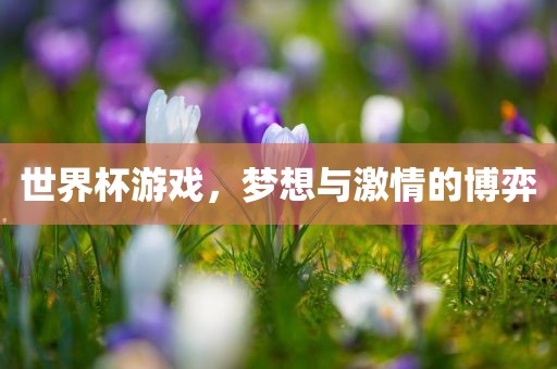 世界杯游戏，梦想与激情的博弈眉山市正发家政服务有限公司