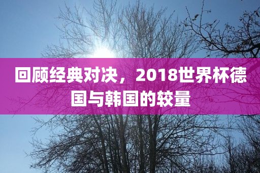 回顾经典对决，20眉山市正发家政服务有限公司18世界杯德国与韩国的较量