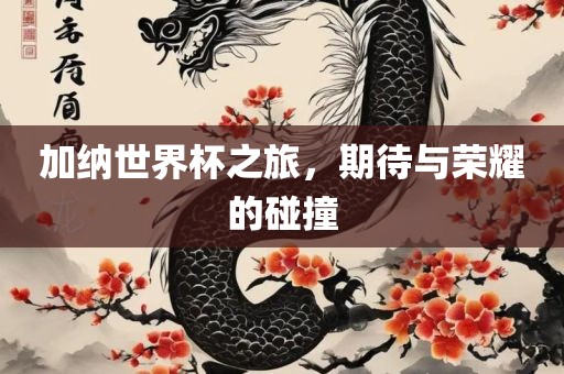 加纳世界杯之旅，期待与荣耀的碰撞