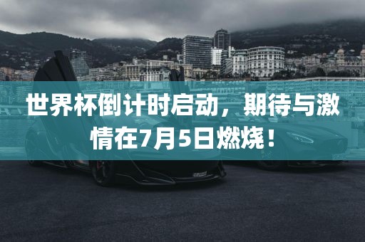 世界杯倒计时启动，期待与激情在7月5日燃烧！眉山市正发家政服务有限公司