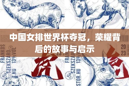 中国女排世界杯夺冠，荣耀背后的故事与启示