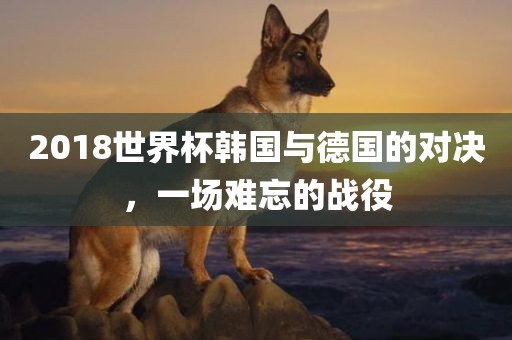 2018世界杯韩国与德国的对决，一场难忘的战役