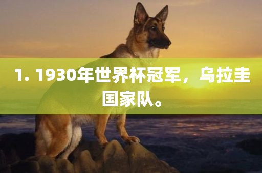 1. 1930年世界杯冠军，乌拉圭国家队。