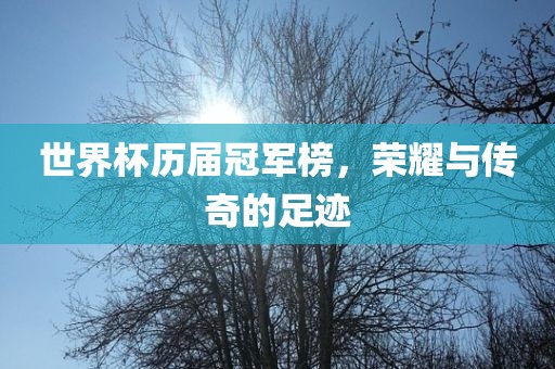 世界杯历届冠军榜，荣耀眉山市正发家政服务有限公司与传奇的足迹