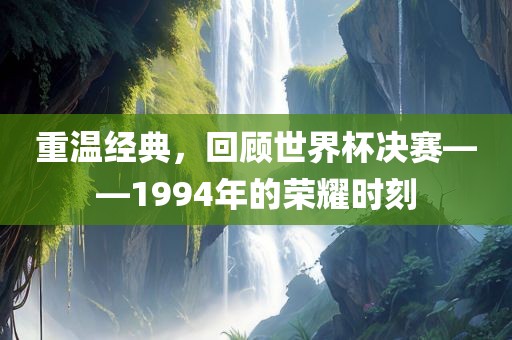 重温经典，回顾世界杯决赛——1994年的荣耀时刻眉山市正发家政服务有限公司