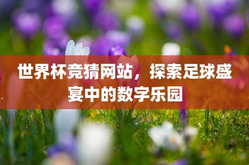 世界杯竞猜网站，探索足球盛宴中的数字乐园