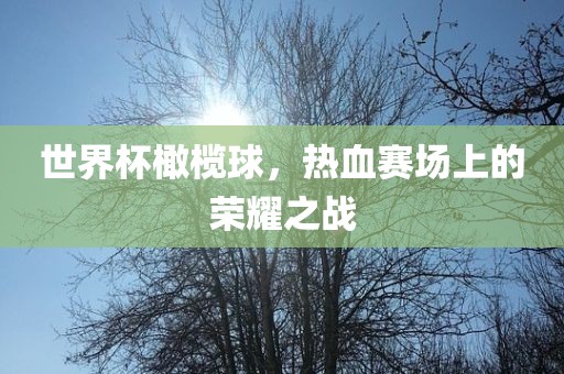 世界杯橄榄球，热血赛场上的荣耀之战
