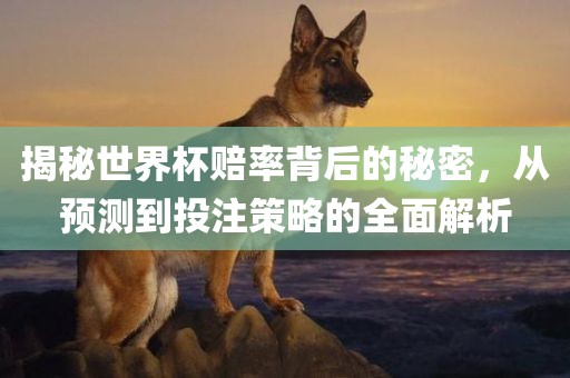 揭秘世界杯赔率背后的秘密，从预测到投注策略的全面解析