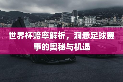 世界杯赔率解析，洞悉足球赛事的奥秘与机遇眉山市正发家政服务有限公司