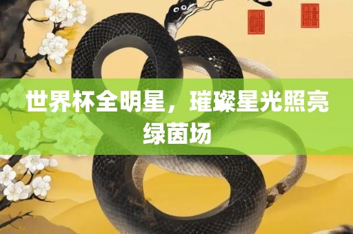 世界杯全明星，璀璨星光照亮绿茵场眉山市正发家政服务有限公司