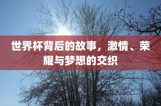世界杯背后的故事，激情、荣耀与梦想的交织眉山市正发家政服务有限公司