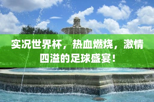 实况世界杯，热血燃烧，激情四溢的足球盛宴！眉山市正发家政服务有限公司