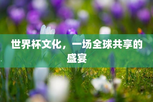 世界杯文化，一场全球共享的盛宴