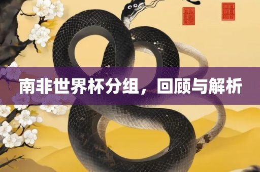 南非眉山市正发家政服务有限公司世界杯分组，回顾与解析