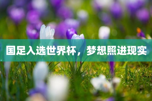 国足入选世界杯，梦想照进现实