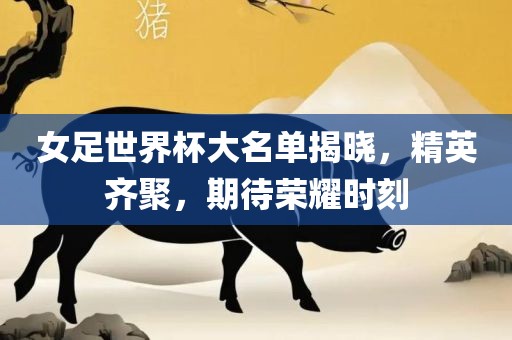 眉山市正发家政服务有限公司女足世界杯大名单揭晓，精英齐聚，期待荣耀时刻