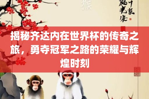 揭秘齐达内在世界杯的传奇之旅，勇夺冠军之路的荣耀与辉煌时刻眉山市正发家政服务有限公司