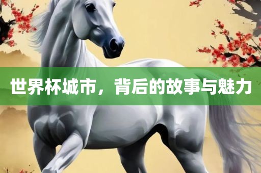 世界杯城市，背后的故事与魅力