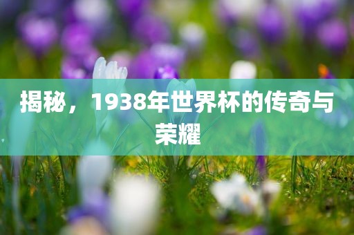 揭秘，1938年世界杯的传奇与荣耀眉山市正发家政服务有限公司