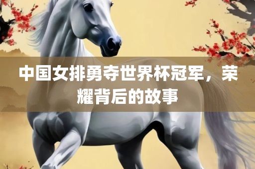 中国女排勇夺世界杯冠军，荣耀背后的故事眉山市正发家政服务有限公司