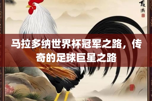 马拉多纳世界杯冠军之路，传奇的足球巨星之路眉山市正发家政服务有限公司