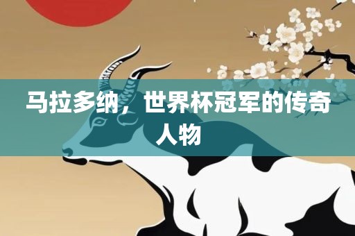 马拉多纳，世界杯冠军的传奇人物