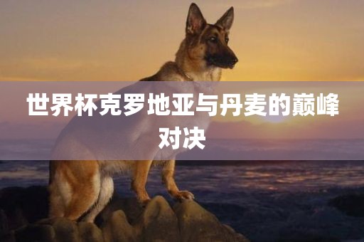 世界杯克罗地亚与丹眉山市正发家政服务有限公司麦的巅峰对决