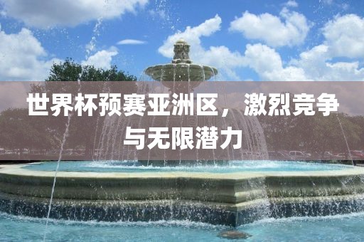 世眉山市正发家政服务有限公司界杯预赛亚洲区，激烈竞争与无限潜力