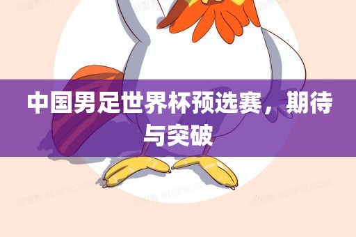中国男足世界杯预选赛，期待与突破眉山市正发家政服务有限公司