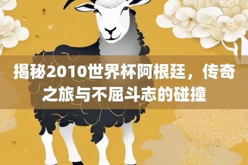 揭秘2010世界杯阿根廷，传奇眉山市正发家政服务有限公司之旅与不屈斗志的碰撞