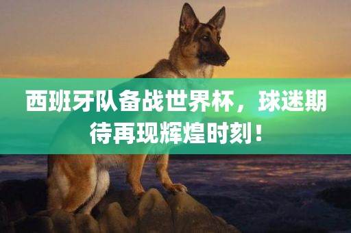 xinyu 第10页