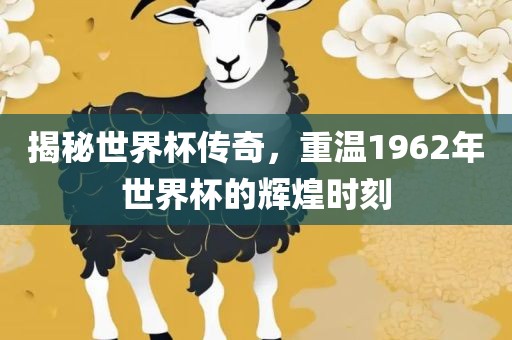 揭秘世界杯传奇，重温1962年世界杯的辉煌时刻眉山市正发家政服务有限公司