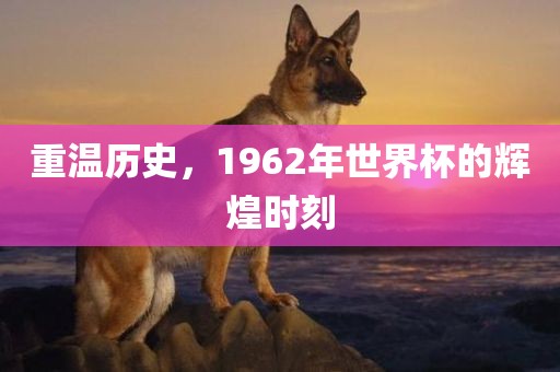 重温历史，1962年世界杯的辉煌时刻眉山市正发家政服务有限公司