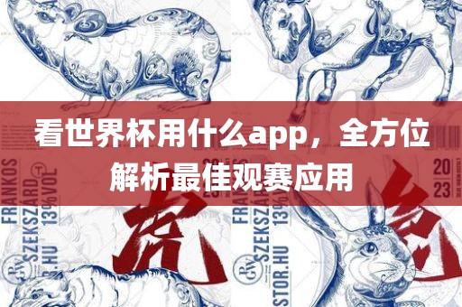 看世眉山市正发家政服务有限公司界杯用什么app，全方位解析最佳观赛应用