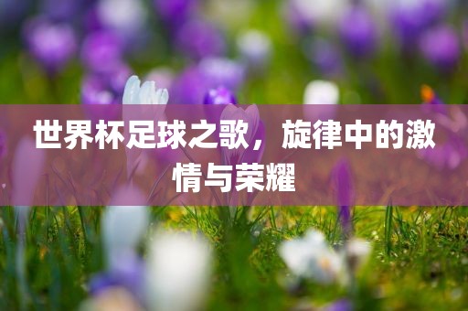 世界杯足球之歌，旋律中的激情与荣耀