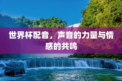 世界杯配音，声音的力量与情感的眉山市正发家政服务有限公司共鸣