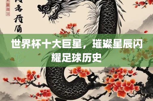 世界杯十大巨星，璀璨星辰闪耀足球历史眉山市正发家政服务有限公司