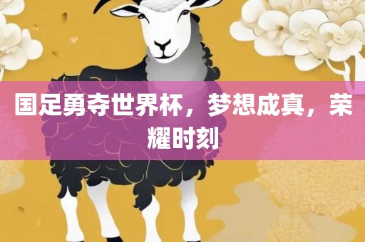 国足勇夺世界杯，梦想成真，荣耀时刻眉山市正发家政服务有限公司
