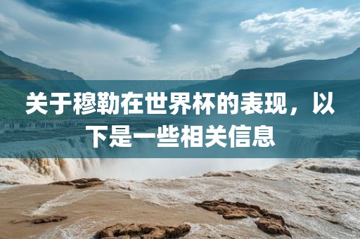 关于穆勒在世界杯的表现，以下是一些相关信息眉山市正发家政服务有限公司