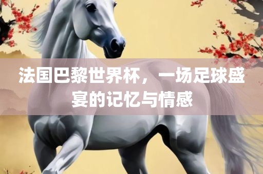 法国巴黎世界杯，一场足球盛宴的记忆与情感