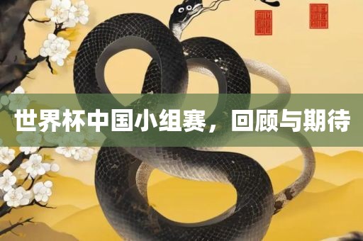 世界杯中国小组赛，回顾与期待