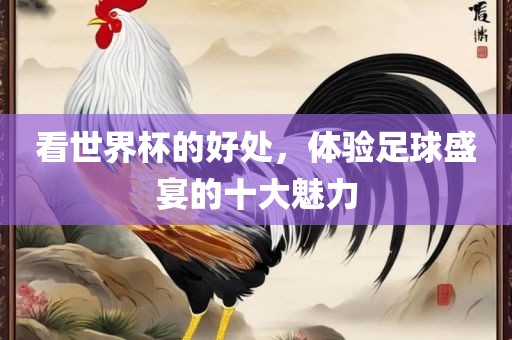 看世界杯的好处，体验足球盛宴的十大魅力眉山市正发家政服务有限公司