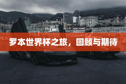 罗本世界杯之旅，回顾与期待