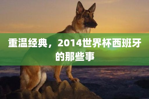 重温经典，2014世界杯西班牙的那些事