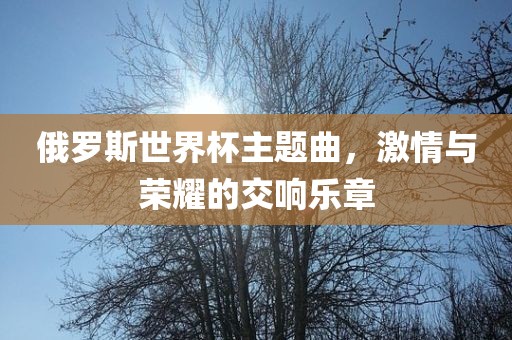俄罗斯世界杯主题曲，激情与荣耀的交响乐章