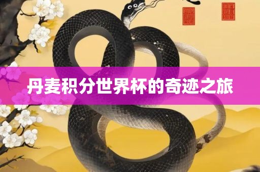 丹麦积分世界杯的奇迹之旅眉山市正发家政服务有限公司